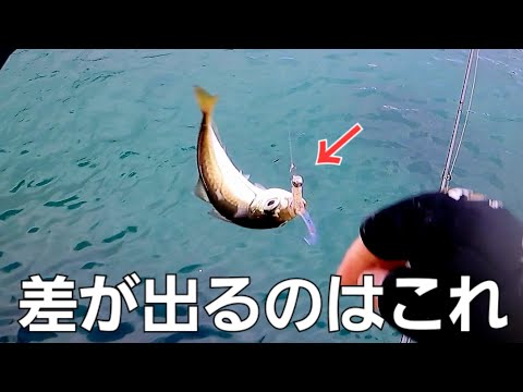 アジングで鯵が釣れないと悩んだ方必見。これしたら激変しました。