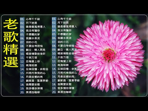 【老歌精選】【懷舊經典老歌】💖🎃群星里一人一首成名曲：我没有骗你 / 后悔爱上你 / 月亮代表我的心 / 后悔爱上你 🍀Mandarin Oldies 70's (歌詞版)