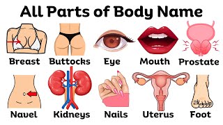 Parts of the Body in English | Basic parts of body | Listen And Practice #bodyparts #learnenglish