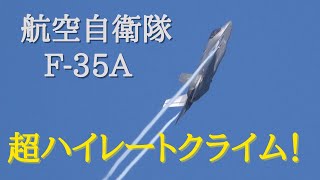 2022/08/25 三沢基地 F-35A 機動飛行と見間違えるほどの飛行訓練