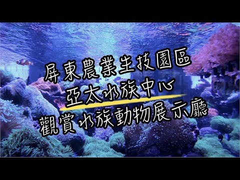 屏東農科水族館 | 銅板就能参觀的水族館, 裡面到底有什麼? | 屏東農科園區觀賞水族展示廳 | 班傑明慢生活