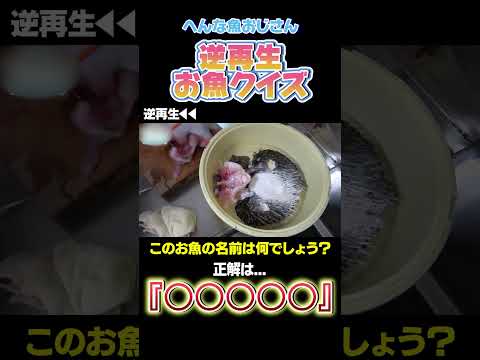 【逆再生お魚クイズ】この触ると痛いお魚はなんでしょう？！難易度★9 #shorts #seafood #食テロ #asmr ＃逆再生 #お魚クイズ