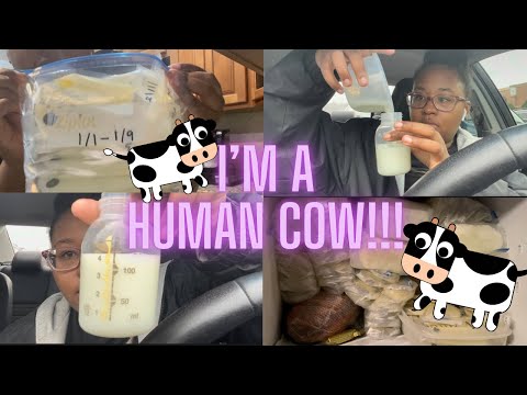 VLOG: How much breastmilk do I have stored?! & Running Errands #breastmilksupply #momlife