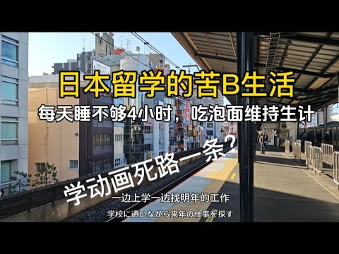 【兰酱的留学日记】自己存钱留学又要找工作，每天睡不到4小时，每月生活费2500人民币的泡面生活｜不能打太多工了，要做作品集和面试动画&作画考试#泡面 #留学日常 #动画师 #海外生活 #动漫