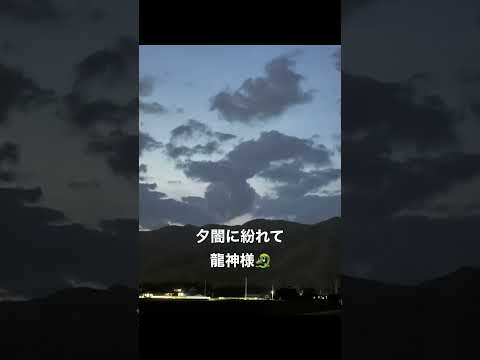 日暮れの空にお出ましです🐲#shorts #short #龍神雲 #龍神様 #龍雲