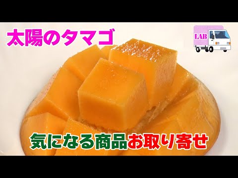 【気になる商品お取り寄せ！】太陽のタマゴ（マンゴー）