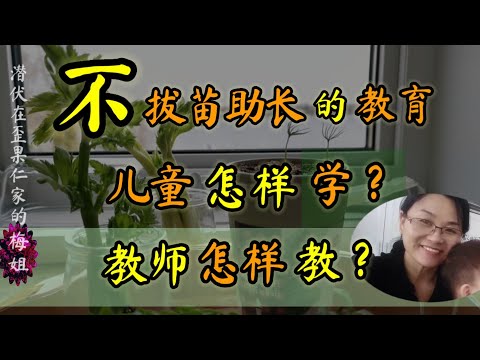 不被拔苗助长的小孩，通过什么样的方式学习？不拔苗助长的教育老师怎样备课？