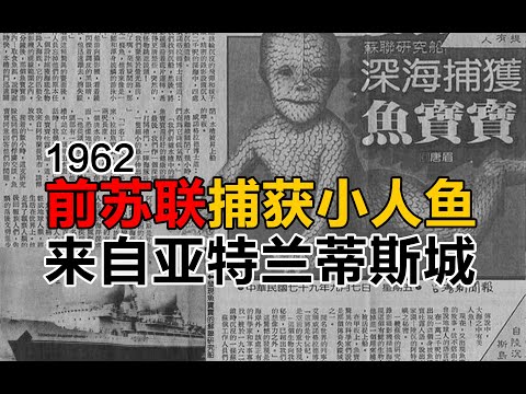 工匠捕杀鲛人，造秦始皇陵长明灯！129期