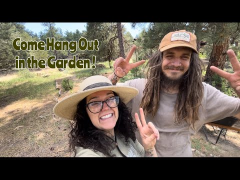 Creating New Garden Beds | Homestead Life in Colorado Mountains | Garden Transformation