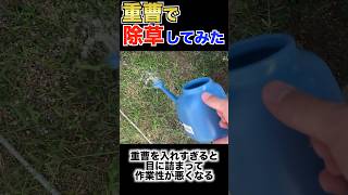 本当に重曹で雑草は枯れるのか？ #除草剤不使用 #除草剤 #shorts