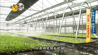 【進擊的台灣 預告】全台第一有機農業專區 友善耕作生態永續