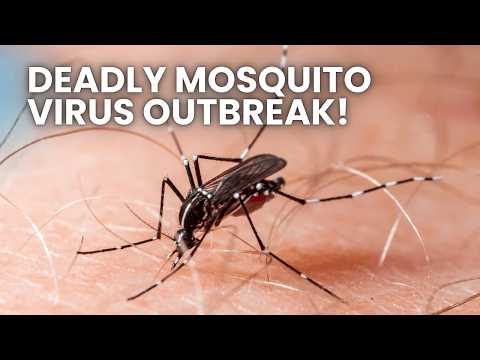 New Deadly Mosquito Virus Is Spreading Across the Country