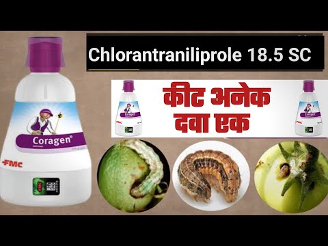 Coragen Insecticide Aise Karta Hai Insect Pest Ka Khatma | Chlorantraniliprole Insecticide