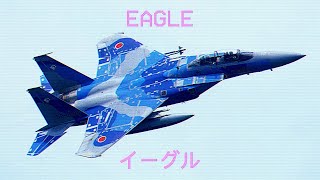 F-15J Eagle // イーグル | JASDF Tactical Fighter Training Group 1995