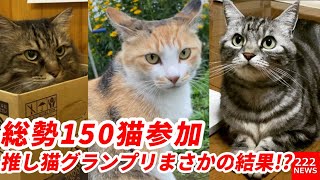 有名猫が総勢150猫参加「推し猫グランプリ」まさかの結果に!?