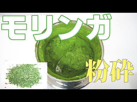 【スーパーフードを粉末化】モリンガを粉砕（コナッピー）