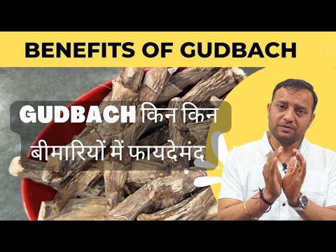 Gudbach Ke Fayde | Gudbach किन किन  बीमारियों में फायदेमंद ।