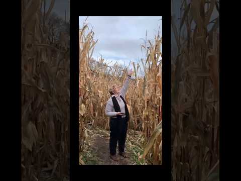 Corn maze with amazing friends pt2 #cornmaze #halloweenfun #vlogwithfriends #funwithfriends