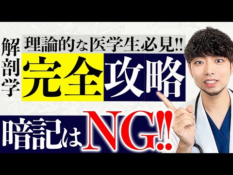 【医師講師直伝】解剖学は暗記じゃなくて理論で覚える!!テストにでるとこだけ1時間で完璧にできます(CBT,医師国家試験,進級試験)【解剖学勉強法】