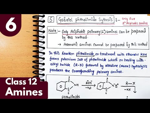 6) Gabriel phthalimide synthesis of primary amines| Preparation of amines| Amines Class12 Chemistry