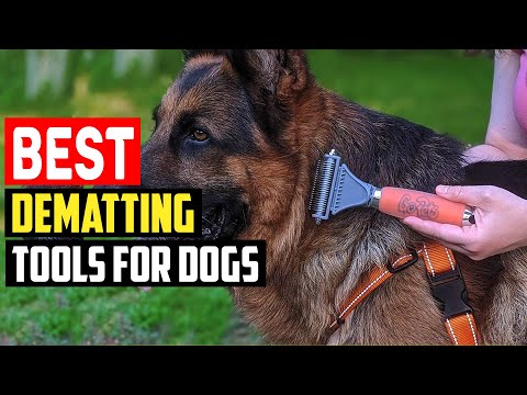 ✅Top 5 Best Dematting Tools for Dogs in 2023