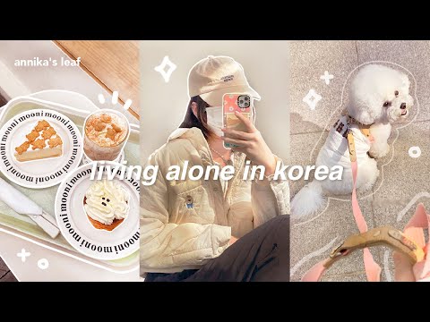 KOREA VLOG 🍞🐶 shopping at coex mall, leaving the city, more aesthetic cafes, puppies, living alone