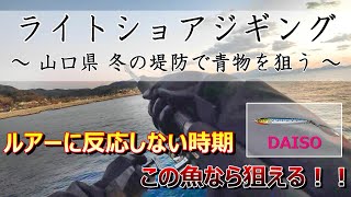 【ライトショアジギング】ルアーに反応しない冬シーズンの青物攻略！！ in 山口県  #08