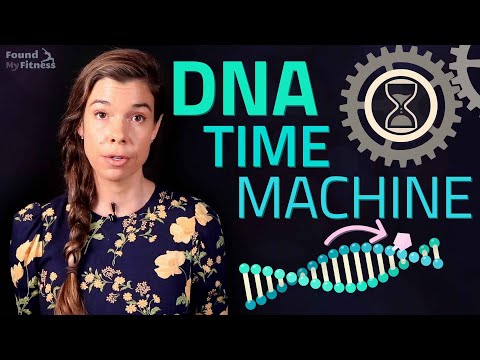 Epigenetic Aging: How old is your DNA?