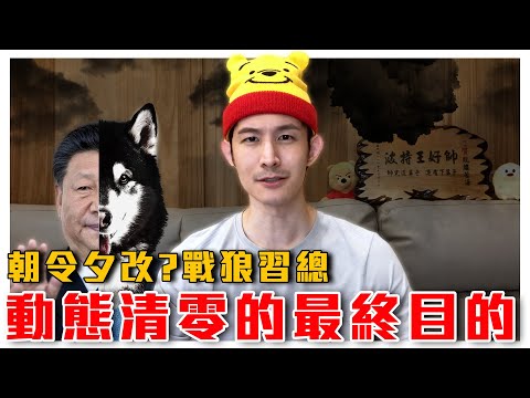 動態清零真正目的原來是？｜習總接收的訊息也是被審查過的！｜粉紅特報002期｜波特王好帥