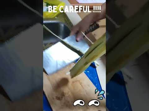 Learn HOW to CUT SUGAR CANE! 砍甘蔗吃 🤔