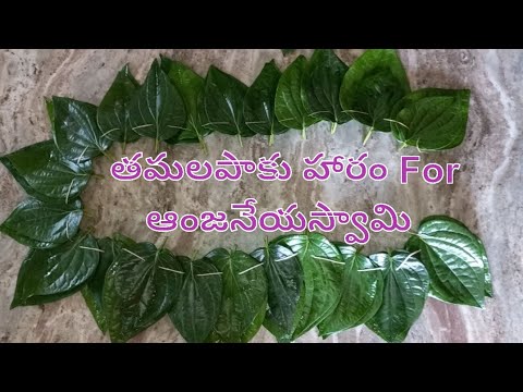 తమలపాకులు హరం ఇష్టార్ధ సిద్ధిరస్తు / Betel leaves haram / How to prepare Betel leaves haram / Betel