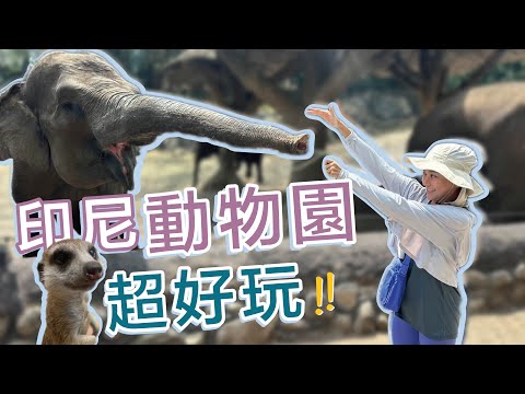 開箱動物園飯店！近距離摸大象！印尼泗水必去