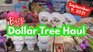 New Big DOLLAR TREE HAUL!  September 9, 2021 #LeighsHome