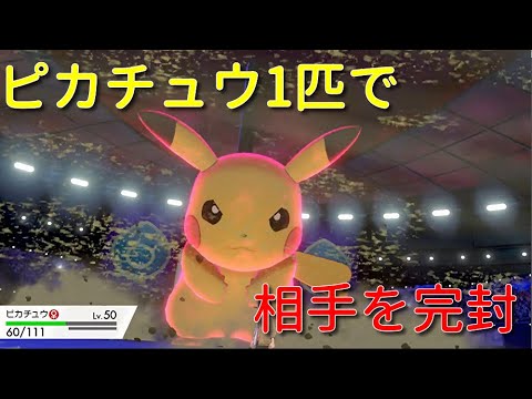 【ポケモン剣盾】ピカチュウ1匹で厨ポケ達を完封する動画