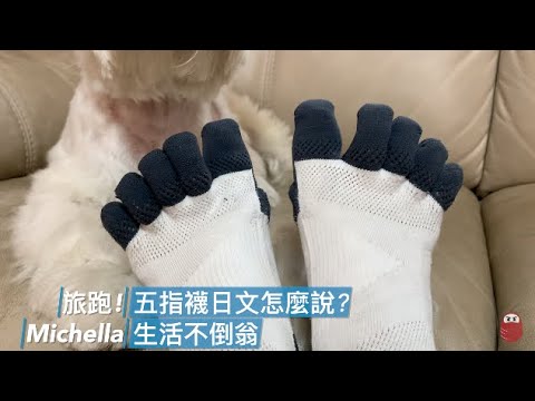 旅跑! 這個怎麼說? ep3 + socks I love