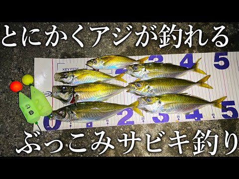 専用サビキで良型のアジが連発！どこでも簡単にアジが釣れる最強のサビキ釣りを紹介