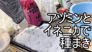 解説しながらトマトとミニトマト種まき　イネニカ・アヅミン使用