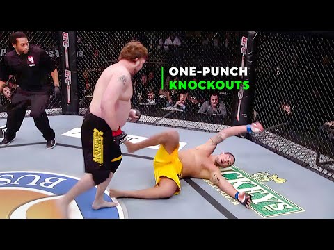 Best Knockouts in The Ultimate Fighter - All Seasons