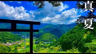 夏の田舎の景色