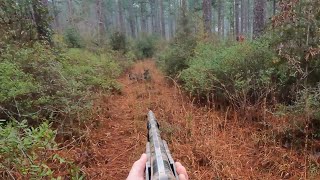 TWO 5 POINTS DOWN AND KILLSHOT ON CAMERA!! (Deer Hunting With Dogs 2024-2025 Season)