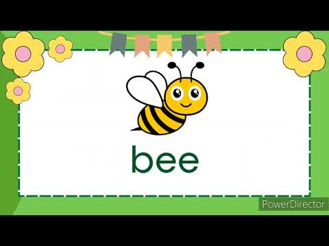 Letter Bb | Letter Sounds | Letters of the Alphabet | Phonics | Read and Learn New Words