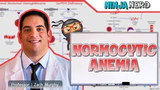 Normocytic Anemia | Clinical Medicine