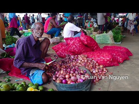 Sri Lanka || Maharagama Market