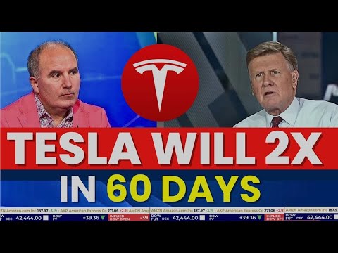 Dan Ives Said Tesla Will 2X in 60 Days | TSLA Stock News