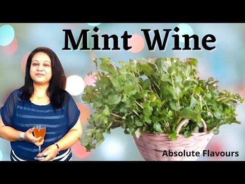 Mint wine | Mint Wine make at home