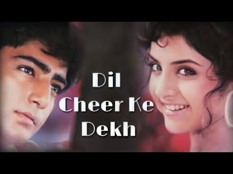 Dil Cheer Ke Dekh Tera Hi Naam Hoga | Divya Bharti | Kumar Sanu | 90's Hits Song | 90's Song