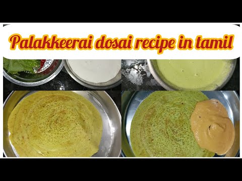 palakkeerai dosai recipe in tamil | பாலக்கீரை தோசை @sutharsanalifestyle308