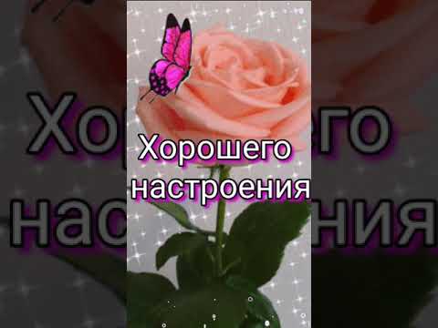 Приветик 🌹 Музыкальная открытка