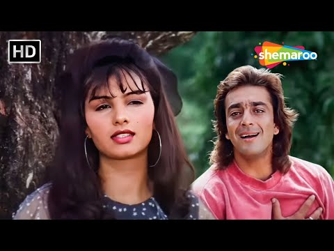 दिल तो खोया है यही पे कही पे | Dil To Khoya Hai | Sanjay Dutt, Somy Ali | Andolan(1995) | Kumar Alka