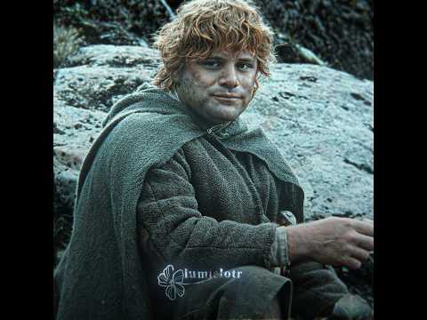 Samwise Gamgee || #edit #lotredit #lordoftheringsedit #lotredit #lotr #samwise #samwisegamgee